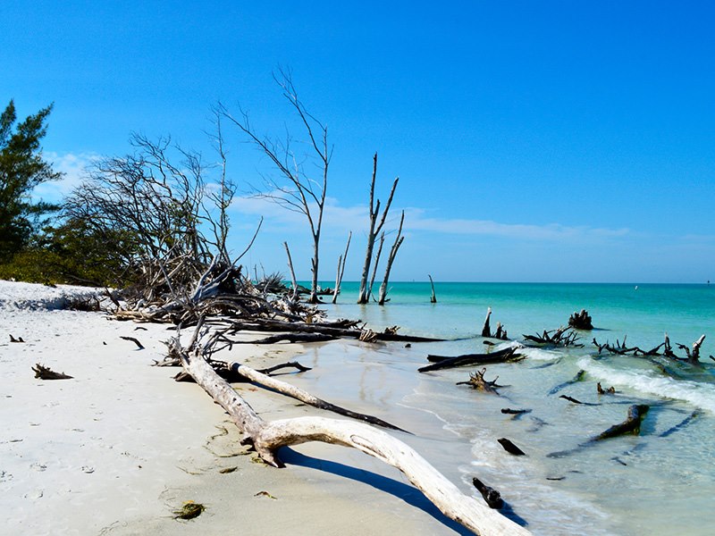 Beaches & Parks on Anna Maria Island Silver Resorts